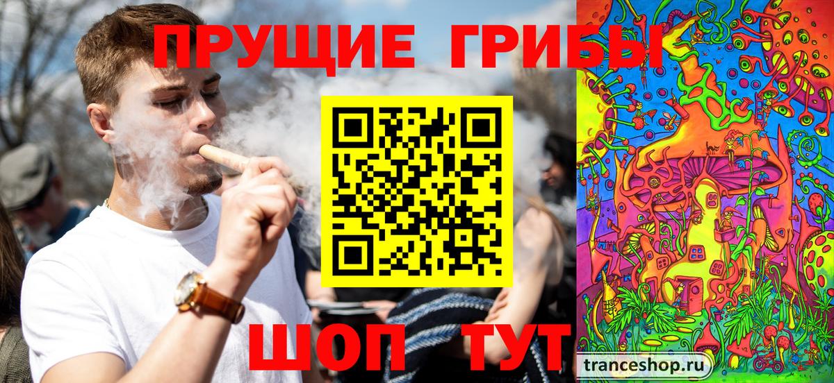 Галлюциногенные грибы прущие грибы  Вход с VPN  Углич 
